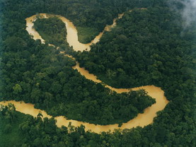Amazonca